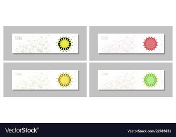 Set flyer brochure size a4 templatebanner vector image
