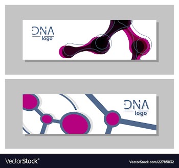 Set flyer brochure size a4 templatebanner vector image