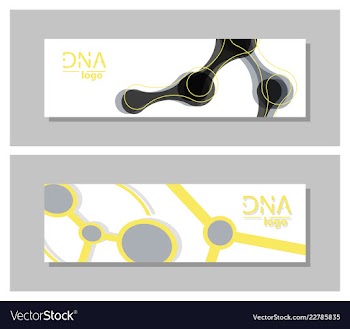 Set flyer brochure size a4 templatebanner vector image