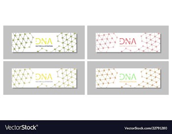 Set flyer brochure size a4 templatebanner vector image