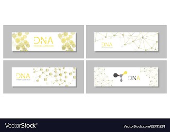 Set flyer brochure size a4 templatebanner vector image