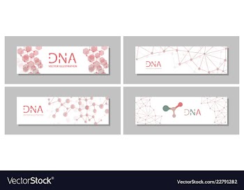 Set flyer brochure size a4 templatebanner vector image
