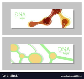 Set flyer brochure size a4 templatebanner vector image