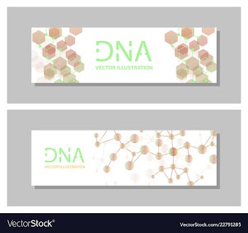 Set flyer brochure size a4 templatebanner vector image