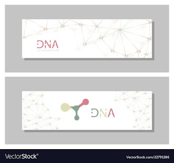 Set flyer brochure size a4 templatebanner vector image