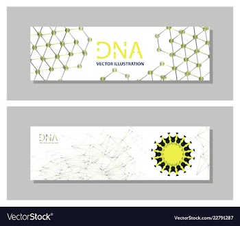 Set flyer brochure size a4 templatebanner vector image
