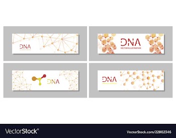 Set flyer brochure size a4 templatebanner vector image