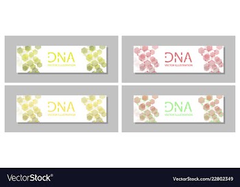 Set flyer brochure size a4 templatebanner vector image