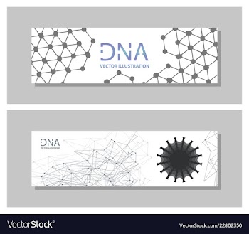 Set flyer brochure size a4 templatebanner vector image