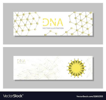 Set flyer brochure size a4 templatebanner vector image