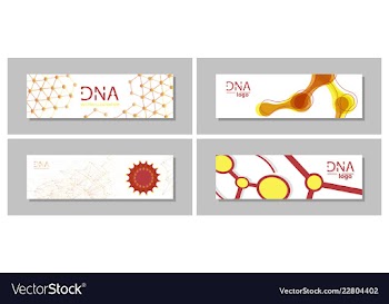 Set flyer brochure size a4 templatebanner vector image