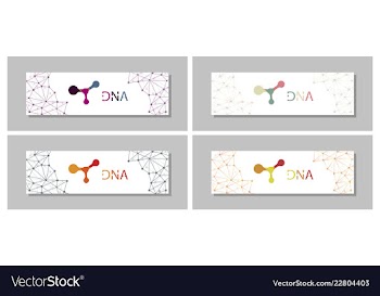 Set flyer brochure size a4 templatebanner vector image