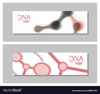 Set flyer brochure size a4 templatebanner vector image