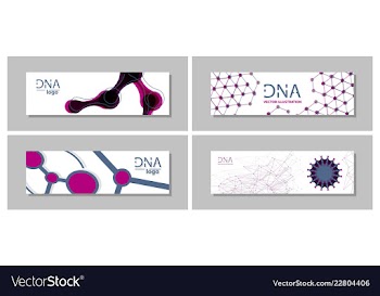 Set flyer brochure size a4 templatebanner vector image
