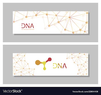 Set flyer brochure size a4 templatebanner vector image