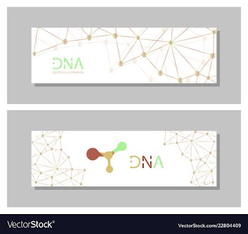 Set flyer brochure size a4 templatebanner vector image