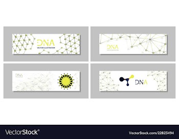 Set flyer brochure size a4 templatebanner vector image