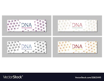Set flyer brochure size a4 templatebanner vector image