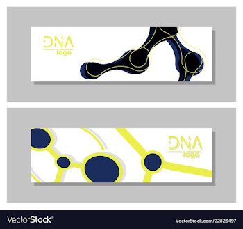 Set flyer brochure size a4 templatebanner vector image