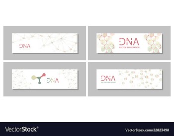 Set flyer brochure size a4 templatebanner vector image