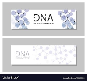 Set flyer brochure size a4 templatebanner vector image