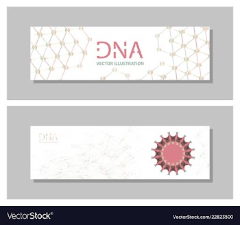 Set flyer brochure size a4 templatebanner vector image