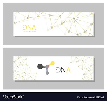 Set flyer brochure size a4 templatebanner vector image