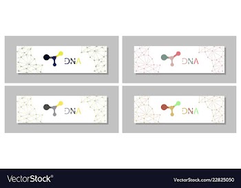 Set flyer brochure size a4 templatebanner vector image