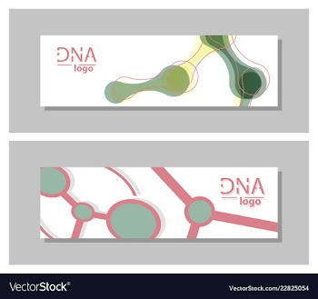 Set flyer brochure size a4 templatebanner vector image