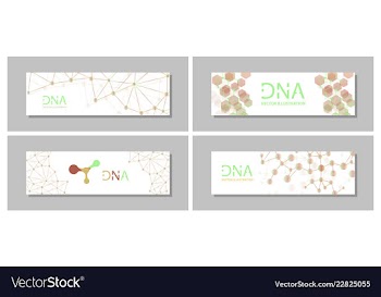 Set flyer brochure size a4 templatebanner vector image