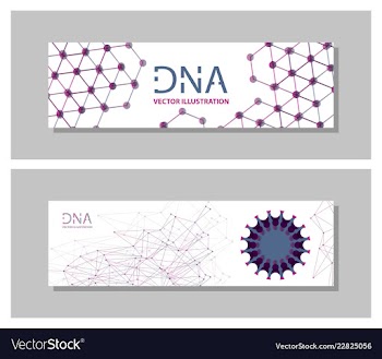 Set flyer brochure size a4 templatebanner vector image