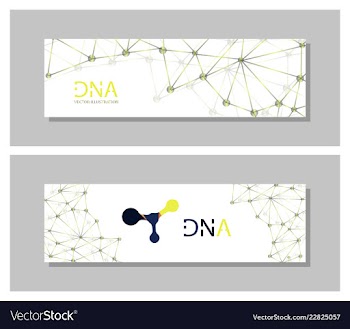 Set flyer brochure size a4 templatebanner vector image