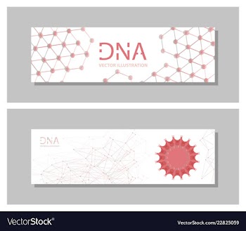 Set flyer brochure size a4 templatebanner vector image