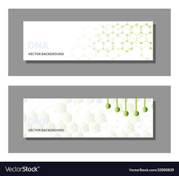 Set of 9 templates for presentation slides vector image