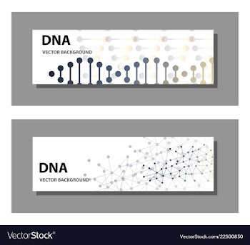 Set of 9 templates for presentation slides vector image