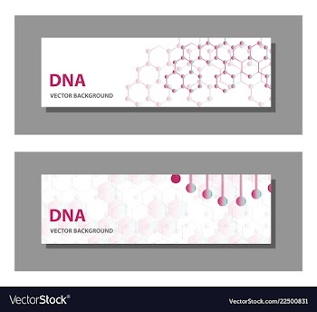 Set of 9 templates for presentation slides vector image