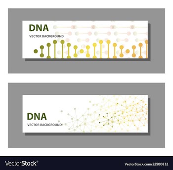 Set of 9 templates for presentation slides vector image