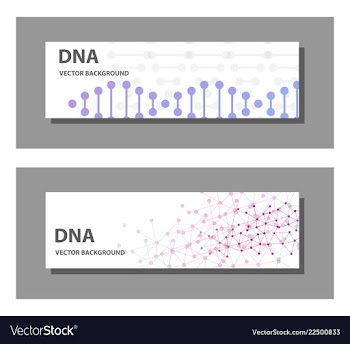 Set of 9 templates for presentation slides vector image