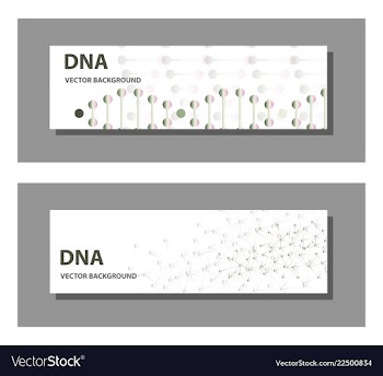 Set of 9 templates for presentation slides vector image