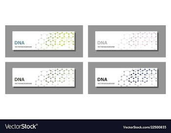 Set of 9 templates for presentation slides vector image