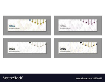 Set of 9 templates for presentation slides vector image