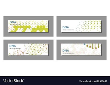 Set of 9 templates for presentation slides vector image