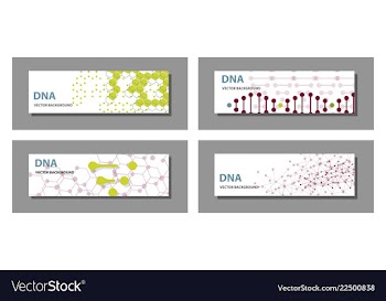 Set of 9 templates for presentation slides vector image