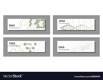 Set of 9 templates for presentation slides vector image