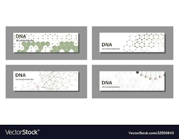 Set of 9 templates for presentation slides vector image