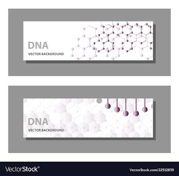 Set of 9 templates for presentation slides vector image