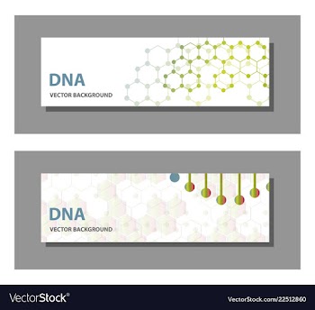 Set of 9 templates for presentation slides vector image