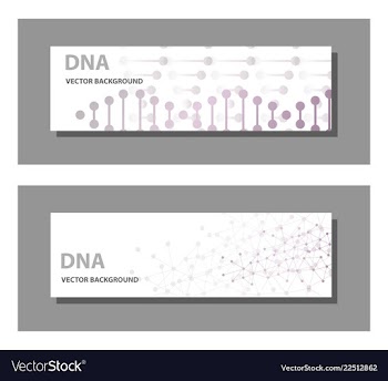 Set of 9 templates for presentation slides vector image