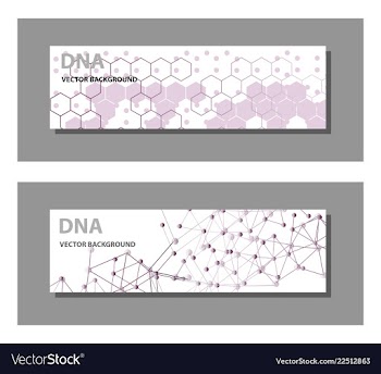 Set of 9 templates for presentation slides vector image