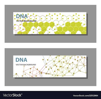 Set of 9 templates for presentation slides vector image